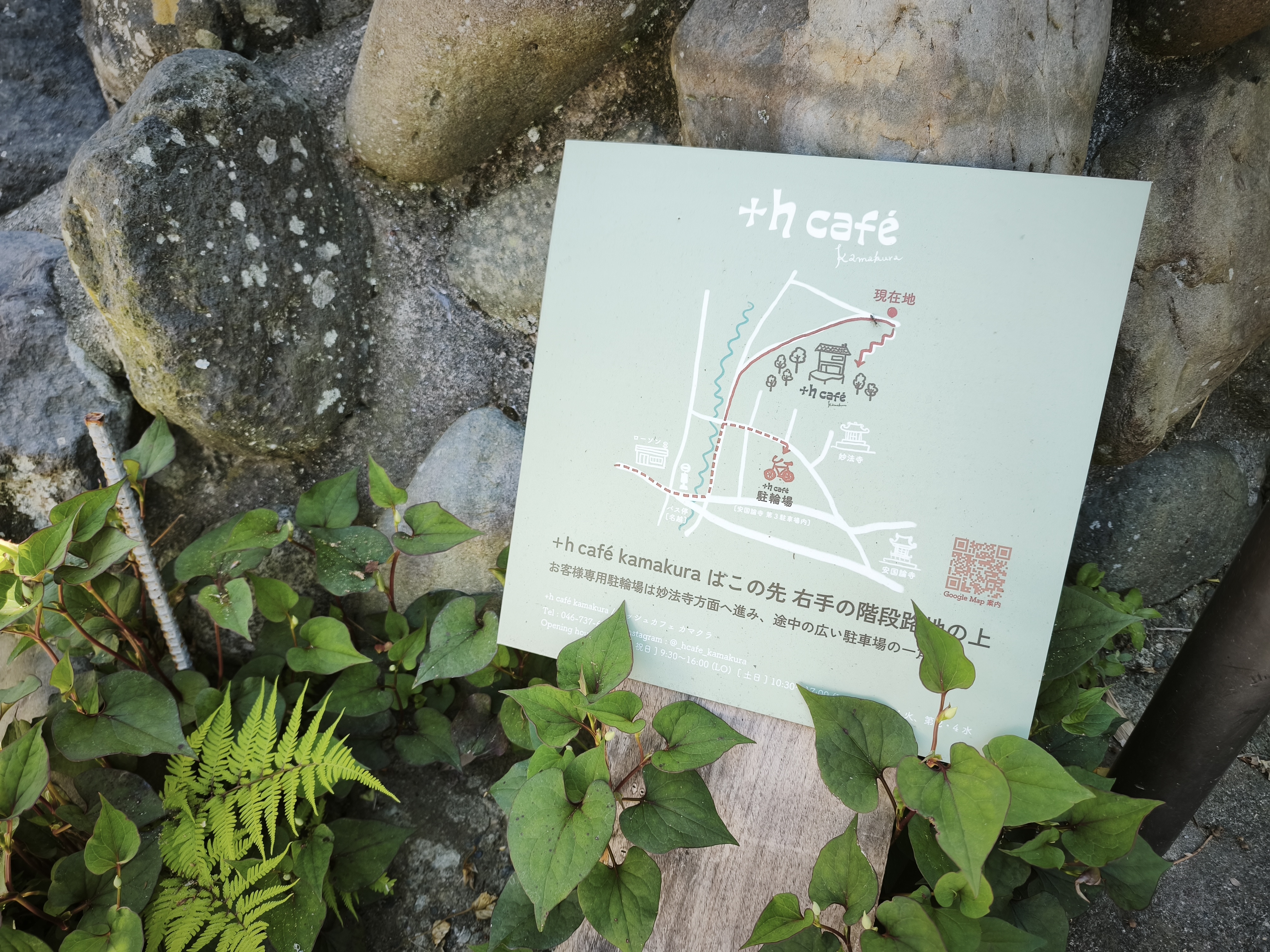 +h café kamakura への案内看板