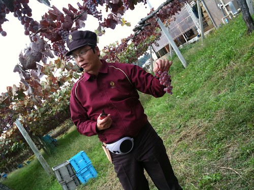 醸造技師長の高谷さん