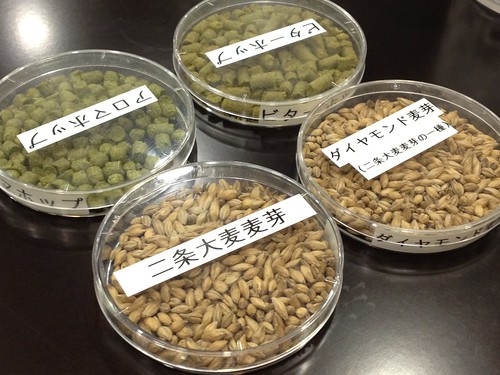 ビールの原料の麦芽をテイスティング。ホップはにおいをかぐだけ。@ザ・プレミアム・モルツ講座