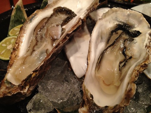 北海道さんの生ガキ＠酒菜（銀座・新橋）