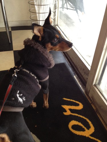 店内はワンコOK＠ルート20