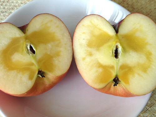 親戚のお家でつくっている江刺リンゴのふじ。蜜がいっぱい入っているのがデフォ。