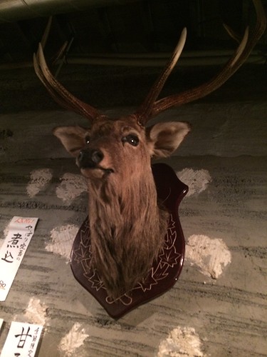 鹿さん＠焼きジビエ 罠