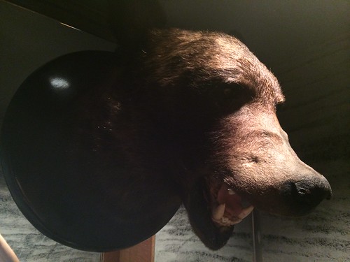 トイレにいたクマさん＠焼きジビエ 罠