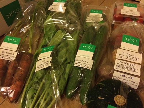 お土産でいただいた野菜たち＠エビベジの会