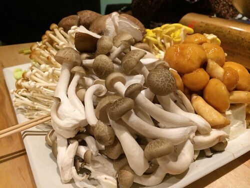 きのこたち@森の机