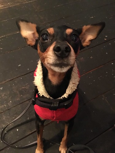 アップルビーダイナー