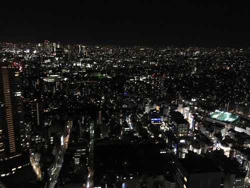 天空の庭 星のなる木