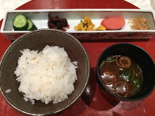 天空の庭 星のなる木