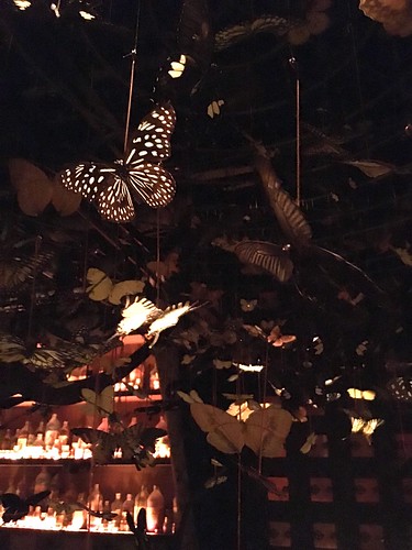 アイアンフェアリーズ