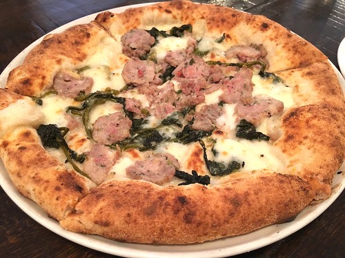 アオジソシガヤ