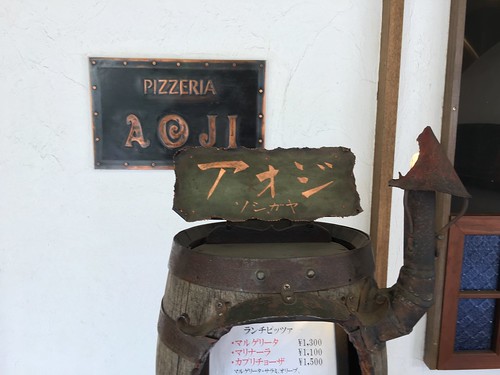 アオジソシガヤ