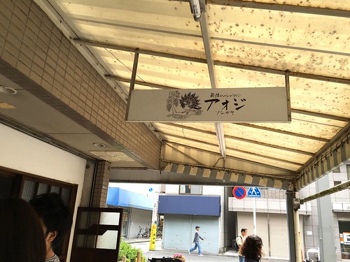 アオジソシガヤ