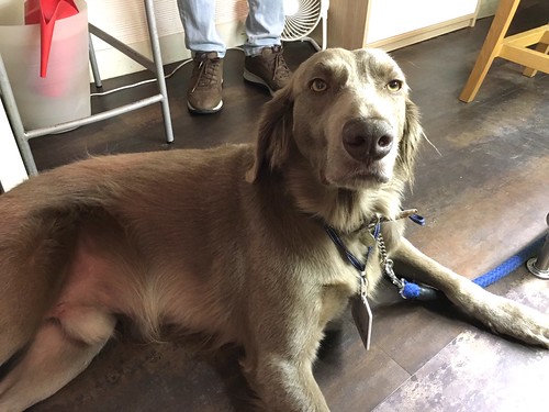 ラウルベーカリー