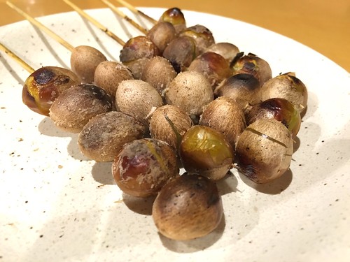 鳥長