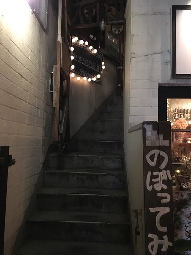 ライオンのいるサーカス