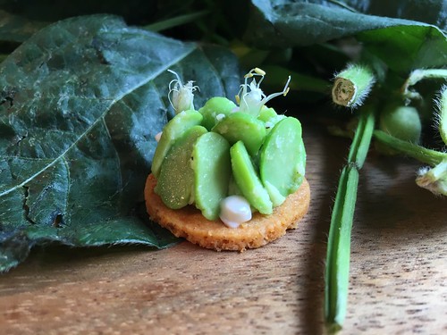 ナインストーリーズ