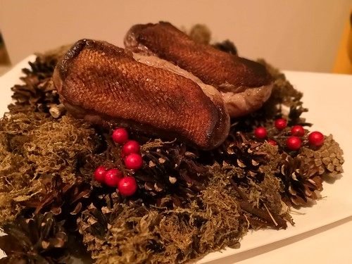 ジャニコロジョウキ