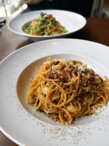 ドーロ・ハツダイ