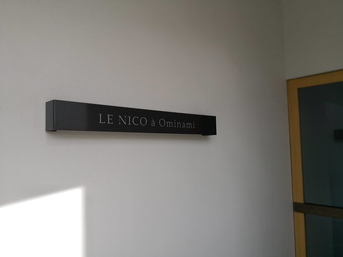 ル ニコ オーミナミ