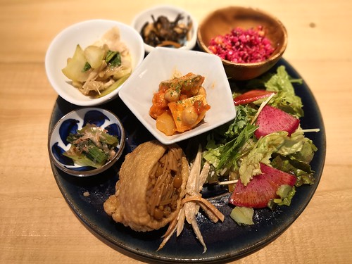 シェルタークコ