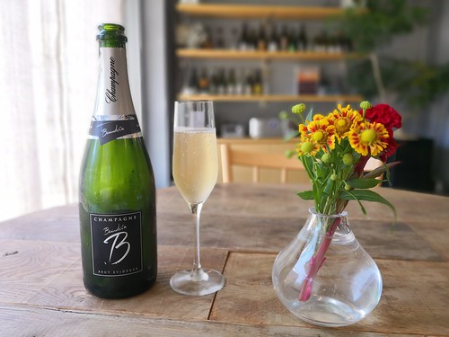 ナインストーリーズ