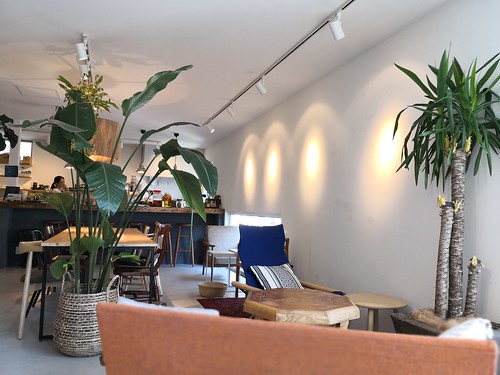 シェルタークコ