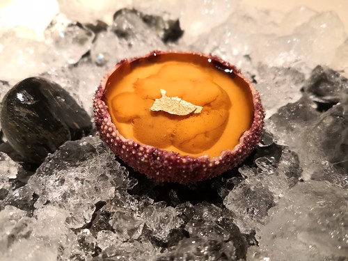 ドーロハツダイ