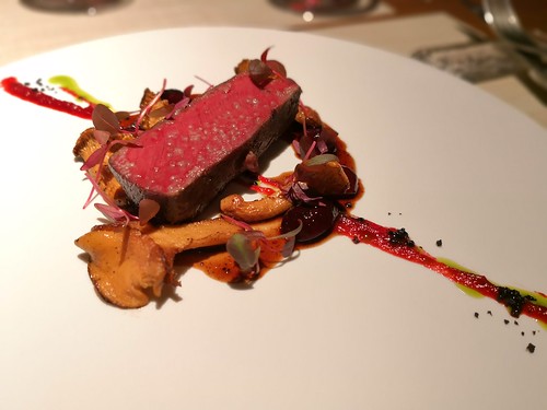 ドーロハツダイ