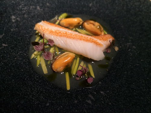 ドーロハツダイ