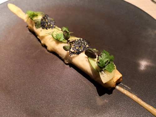 ドーロハツダイ