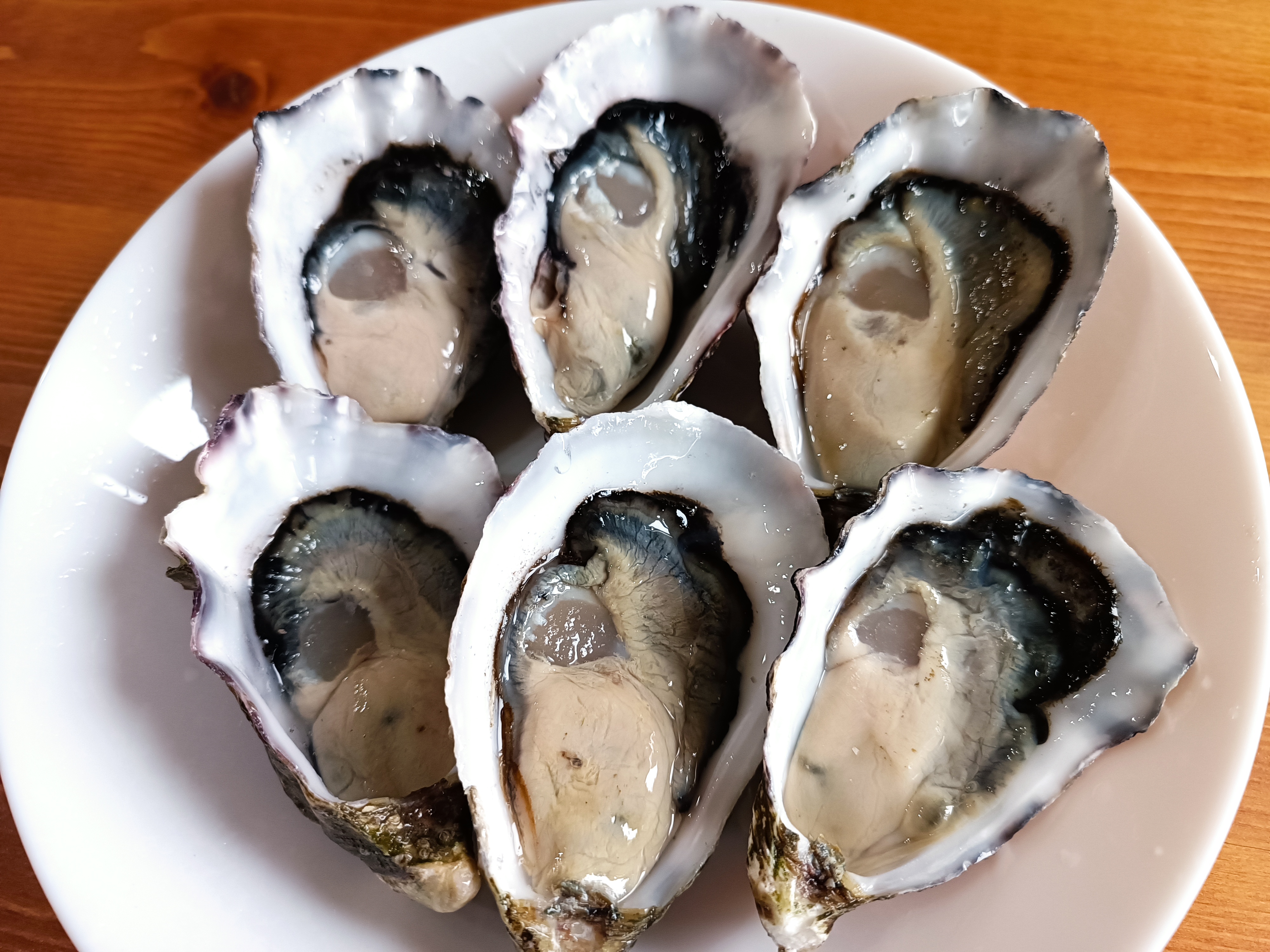 【お取り寄せPR】解凍するだけで簡単。タスマニア産ハーフシェルオイスター「キャッツアイ」で簡単自宅オイスターバー。