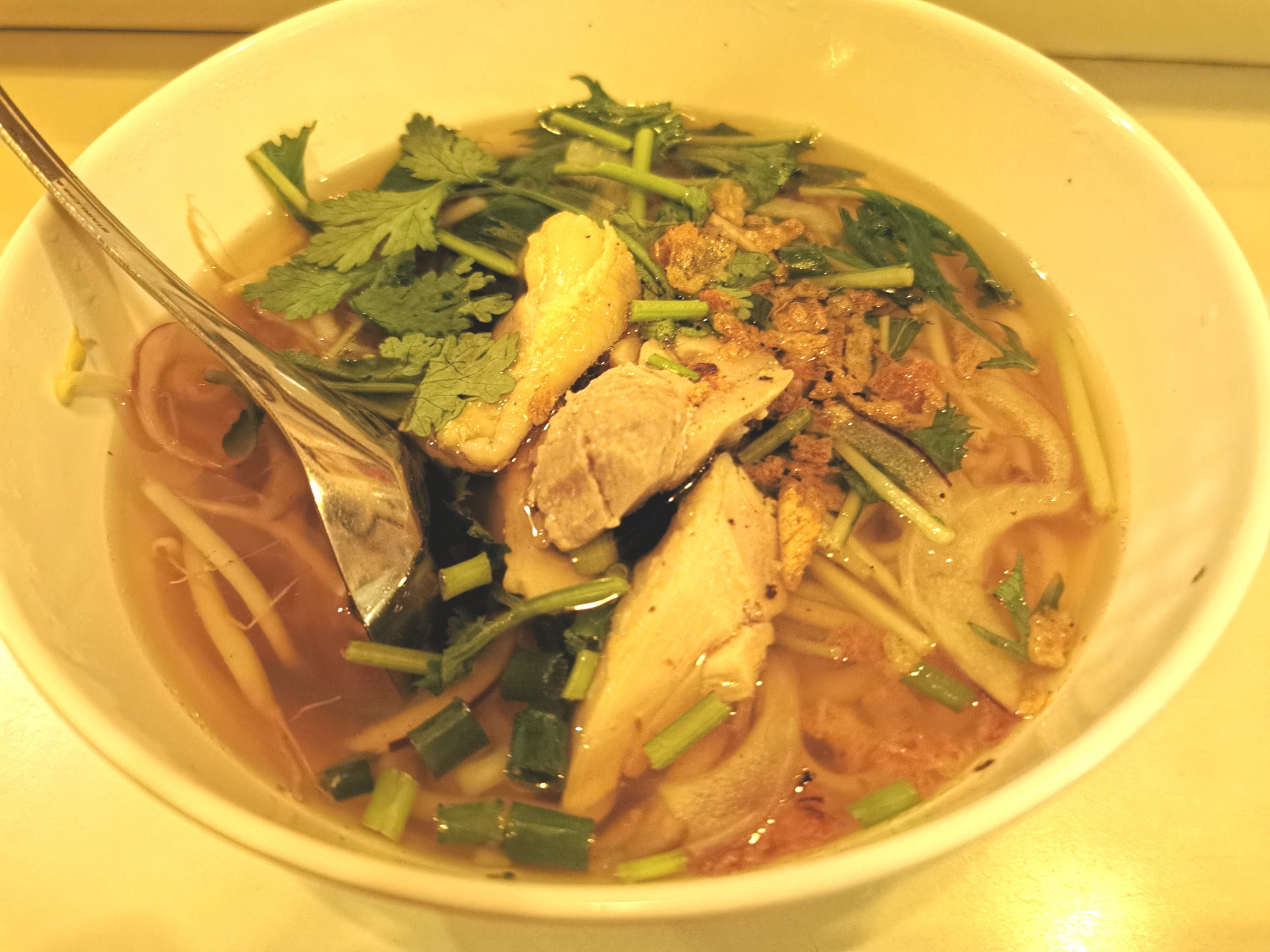 【大船・富士見町】なまめん フォーヤン＠こんなところにベトナム料理屋さんが！フォーや本格的な一品料理もありコスパもいい。